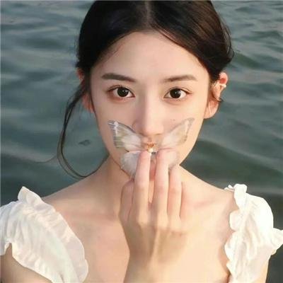 玫瑰小姐狩猎计划